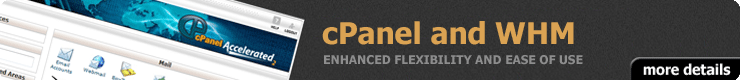 Fast cPanel Web Hosting
