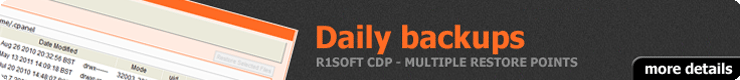 R1Soft Daily Backup solution