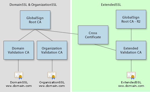 GlobalSign SSL Root Hierarchy
